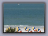 clearwater beach -view from palm roof2