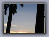 palm pavilion sunset 