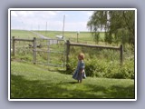 amish girl at fence
