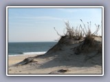 elk neck sand dune