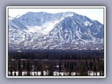 mountains and trees