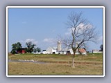 farm and tree