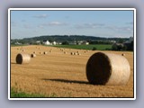 hay bales