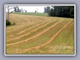 plowed field