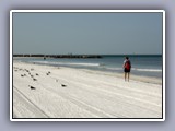 clearwater beach -joni walking