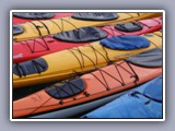 kayaks