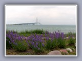 macinac bridge