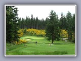 gold mountain 2