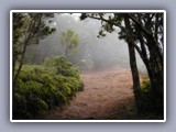 waimea hike