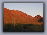 desert evening moon