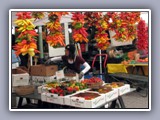 seattle market girl 