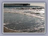 cherry grove pier