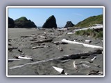 bandon-driftwood2