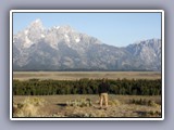 Tetons-dave contemplation 