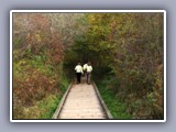 nature preserve-boardwalk